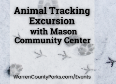 human, dog, and bird tracks in snow